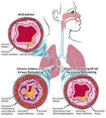 COOL DRINKS,GOOD FOR LUNGS: