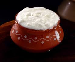 USING CURD ACCORDING TO AYURVEDA
